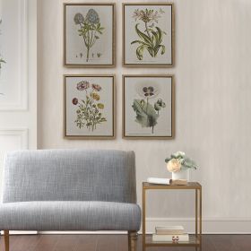 4-piece Botanical Illustration Framed Canvas Wall Art Set