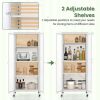 Glass Doors Storage Cabinet with Wheels and Adjustable Shelves